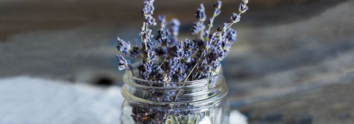 Nutritionist Littleton MA Lavender