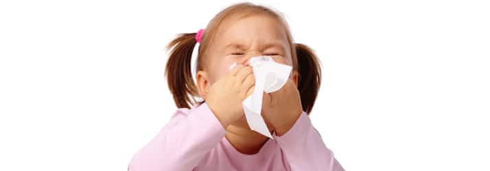 Nutritionist Littleton MA Allergies